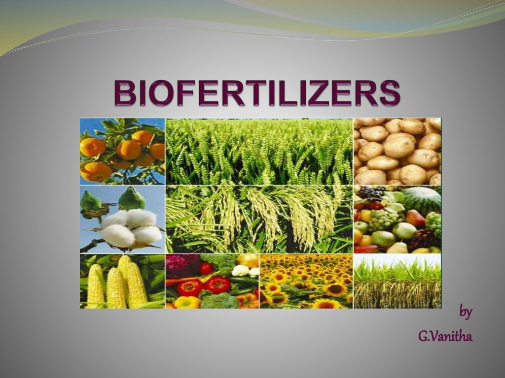 Biofertilizer
