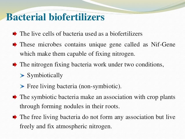 Biofertilizer