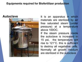 Rhizobium Biofertilizer Mass Production | PPTX