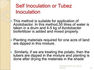 Self Inoculation or Tubez
Inoculation
 This method is suitable for application of
Azotobactor. In this method,50 litres of water is
taken in a drum and 4-5 kg of Azotobacter
biofertilizer is added and mixed properly.
 Planting materials required for one acre of land
are dipped in this mixture.
 Similarly, if we are treating the potato, then the
tubers are dipped in the mixture and planting is
done after drying the materials in the shade
19
BIOFERTILIZER. By. Vipul K.
Panchal
 