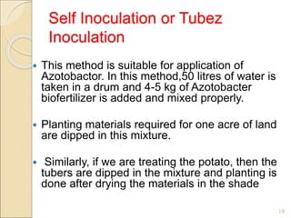 Self Inoculation or Tubez
Inoculation
 This method is suitable for application of
Azotobactor. In this method,50 litres of water is
taken in a drum and 4-5 kg of Azotobacter
biofertilizer is added and mixed properly.
 Planting materials required for one acre of land
are dipped in this mixture.
 Similarly, if we are treating the potato, then the
tubers are dipped in the mixture and planting is
done after drying the materials in the shade
19
 