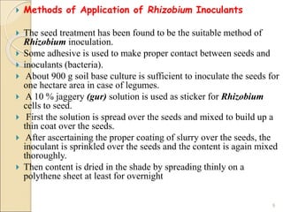  Methods of Application of Rhizobium Inoculants
 The seed treatment has been found to be the suitable method of
Rhizobium inoculation.
 Some adhesive is used to make proper contact between seeds and
 inoculants (bacteria).
 About 900 g soil base culture is sufficient to inoculate the seeds for
one hectare area in case of legumes.
 A 10 % jaggery (gur) solution is used as sticker for Rhizobium
cells to seed.
 First the solution is spread over the seeds and mixed to build up a
thin coat over the seeds.
 After ascertaining the proper coating of slurry over the seeds, the
inoculant is sprinkled over the seeds and the content is again mixed
thoroughly.
 Then content is dried in the shade by spreading thinly on a
polythene sheet at least for overnight
9
 