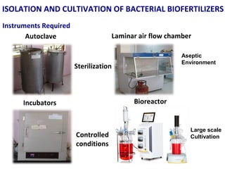 ISOLATION AND CULTIVATION OF BACTERIAL BIOFERTILIZERS
Instruments Required
Incubators
Controlled
conditions
 
Aseptic
Environment
Laminar air flow chamberAutoclave
Sterilization
Bioreactor
Large scale
Cultivation
 