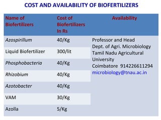 Name of
Biofertilizers
Cost of
Biofertilizers
In Rs
Availability
Azospirillum 40/Kg Professor and Head
Dept. of Agri. Microbiology
Tamil Nadu Agricultural
University
Coimbatore 914226611294
microbiology@tnau.ac.in
Liquid Biofertilizer 300/lit
Phosphobacteria 40/Kg
Rhizobium 40/Kg
Azotobacter 40/Kg
VAM 30/Kg
Azolla 5/Kg
COST AND AVAILABILITY OF BIOFERTILIZERS
 