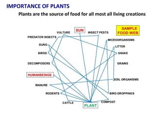 Plants are the source of food for all most all living creations
IMPORTANCE OF PLANTS
 