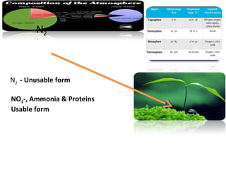 N2
N2 - Unusable form
NO3-, Ammonia & Proteins
Usable form
 