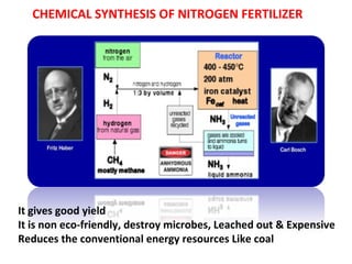 It gives good yield
It is non eco-friendly, destroy microbes, Leached out & Expensive
Reduces the conventional energy resources Like coal
CHEMICAL SYNTHESIS OF NITROGEN FERTILIZER
 