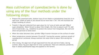 Mass cultivation of cyanobacteria is done by
using any of the four methods under the
following steps:
 Prepare the cemented tanks, shallow trays of iron sheets or polyethylene-lined pits in an
open area. Width of tanks or pits should not be more than 1.5m. This will facilitate the
proper handling of culture
 Transfer 2-3kg soil (collected from open place for 1m2 area of tank) and add 100g of
super-phosphate. Water the pit to about 10cm height. Mix lime to adjust to pH 7.0. Add
2ml of insecticide, e.g., malathion to protect the culture from mosquitoes. Mix well and
allow soil particles to settle down
 When the water becomes clear, sprinkle 100g of starter inoculum on the surface of water
 When temperature remains between 35 and 40°C during the summer, optimum growth of
cyanobacteria is achieved. Always maintain the water level to about 10cm during this
period
 After drying, the algal mat will get separated from the soil and form flakes. During
summer, about 1kg pure algal mat/m2 area is produced. These are collected, powdered,
kept in sealed polyethylene bags and supplied to the farmers
 