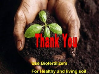 Use Biofertilizers
For Healthy and living soil
 
