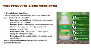 Biofertilizer Production Methodology.pptx