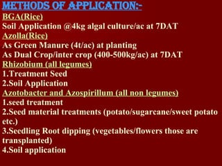 Biofertilizers | PPT