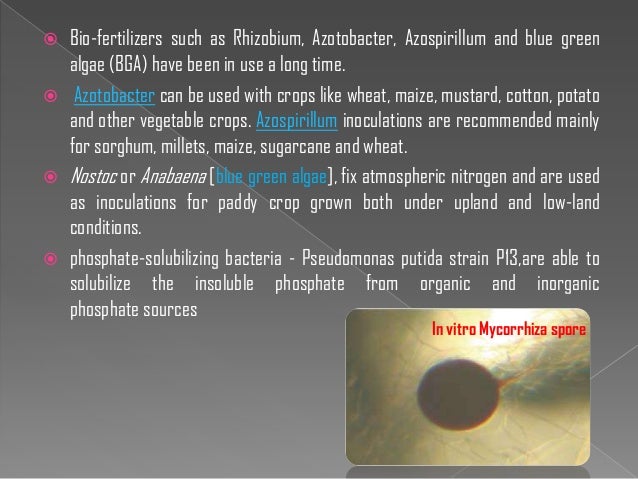 Biofertilizers - Importance
