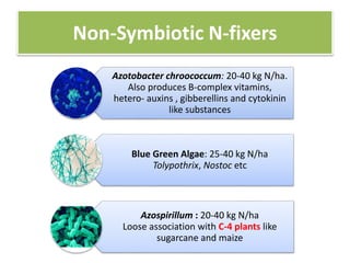 Biofertilizers | PPTX