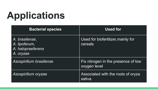 Applications
Bacterial species Used for
A. brasilense,
A. lipoferum,
A. halopraeferens
A. oryzae
Used for biofertilizer,mainly for
cereals
Azospirillum brasilense Fix nitrogen in the presence of low
oxygen level
Azospirillum oryzae Associated with the roots of oryza
sativa
 