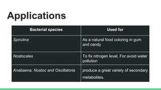 Applications
Bacterial species Used for
Spirulina As a natural food coloring in gum
and candy
Nostocales To fix nitrogen level, For avoid water
pollution
Anabaena, Nostoc and Oscillatoria produce a great variety of secondary
metabolites.
 