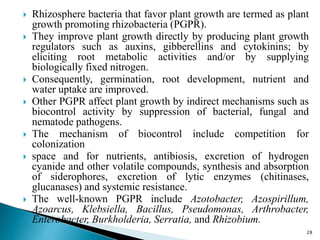  Rhizosphere bacteria that favor plant growth are termed as plant
growth promoting rhizobacteria (PGPR).
 They improve plant growth directly by producing plant growth
regulators such as auxins, gibberellins and cytokinins; by
eliciting root metabolic activities and/or by supplying
biologically fixed nitrogen.
 Consequently, germination, root development, nutrient and
water uptake are improved.
 Other PGPR affect plant growth by indirect mechanisms such as
biocontrol activity by suppression of bacterial, fungal and
nematode pathogens.
 The mechanism of biocontrol include competition for
colonization
 space and for nutrients, antibiosis, excretion of hydrogen
cyanide and other volatile compounds, synthesis and absorption
of siderophores, excretion of lytic enzymes (chitinases,
glucanases) and systemic resistance.
 The well-known PGPR include Azotobacter, Azospirillum,
Azoarcus, Klebsiella, Bacillus, Pseudomonas, Arthrobacter,
Enterobacter, Burkholderia, Serratia, and Rhizobium.
28
 