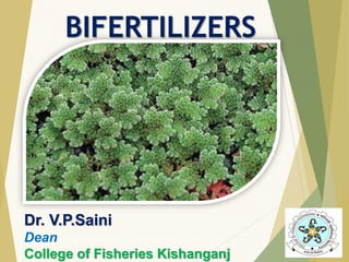BIFERTILIZERS
Dr. V.P.Saini
Dean
College of Fisheries Kishanganj
 
