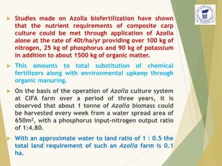  Studies made on Azolla biofertilization have shown
that the nutrient requirements of composite carp
culture could be met through application of Azolla
alone at the rate of 40t/ha/yr providing over 100 kg of
nitrogen, 25 kg of phosphorus and 90 kg of potassium
in addition to about 1500 kg of organic matter.
 This amounts to total substitution of chemical
fertilizers along with environmental upkeep through
organic manuring.
 On the basis of the operation of Azolla culture system
at CIFA farm over a period of three years, it is
observed that about 1 tonne of Azolla biomass could
be harvested every week from a water spread area of
650m2, with a phosphorus input-nitrogen output ratio
of 1:4.80.
 With an approximate water to land ratio of 1 : 0.5 the
total land requirement of such an Azolla farm is 0.1
ha.
 