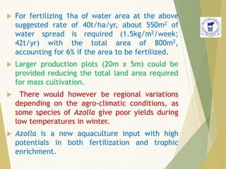  For fertilizing 1ha of water area at the above
suggested rate of 40t/ha/yr, about 550m2 of
water spread is required (1.5kg/m2/week;
42t/yr) with the total area of 800m2,
accounting for 6% if the area to be fertilized.
 Larger production plots (20m x 5m) could be
provided reducing the total land area required
for mass cultivation.
 There would however be regional variations
depending on the agro-climatic conditions, as
some species of Azolla give poor yields during
low temperatures in winter.
 Azolla is a new aquaculture input with high
potentials in both fertilization and trophic
enrichment.
 
