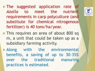  The suggested application rate of
Azolla to meet the nutrient
requirements in carp polyculture (and
substitute for chemical nitrogenous
fertilizer) is 40 tons/ha/year.
 This requires an area of about 800 sq
m, a unit that could be taken up as a
subsidiary farming activity.
 Along with the environmental
benefits, a saving of up to 30-35%
over the traditional manuring
practices is estimated.
 