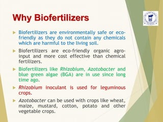  Biofertilizers are environmentally safe or eco-
friendly as they do not contain any chemicals
which are harmful to the living soil.
 Biofertilizers are eco-friendly organic agro-
input and more cost effective than chemical
fertilizers.
 Biofertilizers like Rhizobium, Azotobacter and
blue green algae (BGA) are in use since long
time ago.
 Rhizobium inoculant is used for leguminous
crops.
 Azotobacter can be used with crops like wheat,
maize, mustard, cotton, potato and other
vegetable crops.
Why Biofertilizers
 
