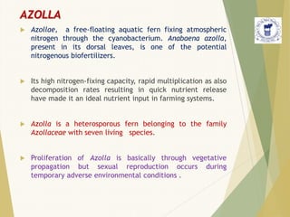 AZOLLA
 Azollae, a free-floating aquatic fern fixing atmospheric
nitrogen through the cyanobacterium. Anabaena azolla,
present in its dorsal leaves, is one of the potential
nitrogenous biofertilizers.
 Its high nitrogen-fixing capacity, rapid multiplication as also
decomposition rates resulting in quick nutrient release
have made it an ideal nutrient input in farming systems.
 Azolla is a heterosporous fern belonging to the family
Azollaceae with seven living species.
 Proliferation of Azolla is basically through vegetative
propagation but sexual reproduction occurs during
temporary adverse environmental conditions .
 