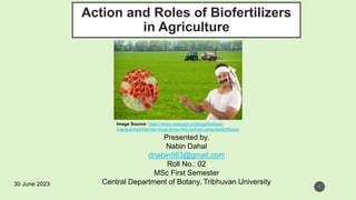 Action and Roles of Biofertilizers
in Agriculture
Presented by,
Nabin Dahal
dnabin563@gmail.com
Roll No.: 02
MSc First Semester
Central Department of Botany, Tribhuvan University
Image Source: https://www.resetagri.in/blogs/fertilizer-
management/farmer-must-know-this-before-using-biofertilizers
30 June 2023 1
 