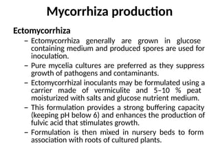 Mycorrhiza production
Ectomycorrhiza
– Ectomycorrhiza generally are grown in glucose
containing medium and produced spores are used for
inoculation.
– Pure mycelia cultures are preferred as they suppress
growth of pathogens and contaminants.
– Ectomycorrhizal inoculants may be formulated using a
carrier made of vermiculite and 5–10 % peat
moisturized with salts and glucose nutrient medium.
– This formulation provides a strong buffering capacity
(keeping pH below 6) and enhances the production of
fulvic acid that stimulates growth.
– Formulation is then mixed in nursery beds to form
association with roots of cultured plants.
 
