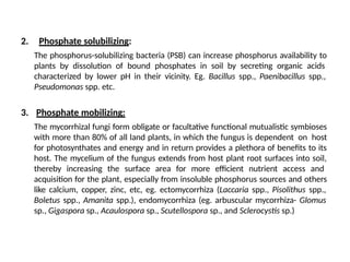 2. Phosphate solubilizing:
The phosphorus-solubilizing bacteria (PSB) can increase phosphorus availability to
plants by dissolution of bound phosphates in soil by secreting organic acids
characterized by lower pH in their vicinity. Eg. Bacillus spp., Paenibacillus spp.,
Pseudomonas spp. etc.
3. Phosphate mobilizing:
The mycorrhizal fungi form obligate or facultative functional mutualistic symbioses
with more than 80% of all land plants, in which the fungus is dependent on host
for photosynthates and energy and in return provides a plethora of benefits to its
host. The mycelium of the fungus extends from host plant root surfaces into soil,
thereby increasing the surface area for more efficient nutrient access and
acquisition for the plant, especially from insoluble phosphorus sources and others
like calcium, copper, zinc, etc, eg. ectomycorrhiza (Laccaria spp., Pisolithus spp.,
Boletus spp., Amanita spp.), endomycorrhiza (eg. arbuscular mycorrhiza- Glomus
sp., Gigaspora sp., Acaulospora sp., Scutellospora sp., and Sclerocystis sp.)
 