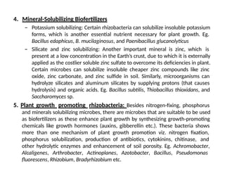 4. Mineral-Solubilizing Biofertilizers
– Potassium solubilizing: Certain rhizobacteria can solubilize insoluble potassium
forms, which is another essential nutrient necessary for plant growth. Eg.
Bacillus edaphicus, B. mucilaginosus, and Paenibacillus glucanolyticus
– Silicate and zinc solubilizing: Another important mineral is zinc, which is
present at a low concentration in the Earth’s crust, due to which it is externally
applied as the costlier soluble zinc sulfate to overcome its deficiencies in plant.
Certain microbes can solubilize insoluble cheaper zinc compounds like zinc
oxide, zinc carbonate, and zinc sulfide in soil. Similarly, microorganisms can
hydrolyze silicates and aluminum silicates by supplying protons (that causes
hydrolysis) and organic acids. Eg. Bacillus subtilis, Thiobacillus thioxidans, and
Saccharomyces sp.
5. Plant growth promoting rhizobacteria: Besides nitrogen-fixing, phosphorus
and minerals solubilizing microbes, there are microbes that are suitable to be used
as biofertilizers as these enhance plant growth by synthesizing growth-promoting
chemicals like growth hormones (auxins, gibberellin etc.). These bacteria shows
more than one mechanism of plant growth promotion viz. nitrogen fixation,
phosphorus solubilization, production of antibiotics, cytokinins, chitinase, and
other hydrolytic enzymes and enhancement of soil porosity. Eg. Achromobacter,
Alcaligenes, Arthrobacter, Actinoplanes, Azotobacter, Bacillus, Pseudomonas
fluorescens, Rhizobium, Bradyrhizobium etc.
 