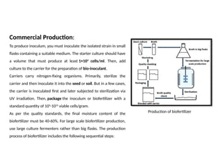 Production of biofertilizer
Commercial Production:
To produce inoculum, you must inoculate the isolated strain in small
flasks containing a suitable medium. The starter culture should have
a volume that must produce at least 1×109
cells/ml. Then, add
culture to the carrier for the preparation of bio-inoculant.
Carriers carry nitrogen-fixing organisms. Primarily, sterilize the
carrier and then inoculate it into the seed or soil. But in a few cases,
the carrier is inoculated first and later subjected to sterilization via
UV irradiation. Then, package the inoculum or biofertilizer with a
standard quantity of 109
-1010
viable cells/gram.
As per the quality standards, the final moisture content of the
biofertilizer must be 40-60%. For large scale biofertilizer production,
use large culture fermenters rather than big flasks. The production
process of biofertilizer includes the following sequential steps:
 