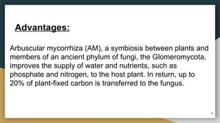 Arbuscular mycorrhiza (AM), a symbiosis between plants and
members of an ancient phylum of fungi, the Glomeromycota,
improves the supply of water and nutrients, such as
phosphate and nitrogen, to the host plant. In return, up to
20% of plant-fixed carbon is transferred to the fungus.
Advantages:
4
 