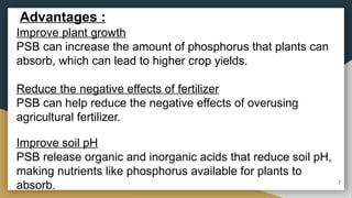 Improve plant growth
PSB can increase the amount of phosphorus that plants can
absorb, which can lead to higher crop yields.
Reduce the negative effects of fertilizer
PSB can help reduce the negative effects of overusing
agricultural fertilizer.
Improve soil pH
PSB release organic and inorganic acids that reduce soil pH,
making nutrients like phosphorus available for plants to
absorb.
Advantages :
7
 