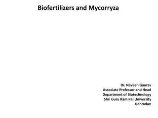 Biofertilizers and Mycorryza
Dr. Naveen Gaurav
Associate Professor and Head
Department of Biotechnology
Shri Guru Ram Rai University
Dehradun
 