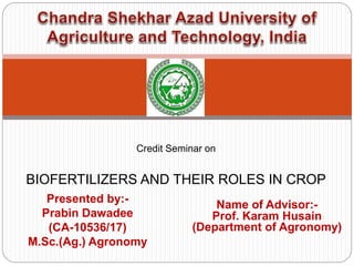 Presented by:-
Prabin Dawadee
(CA-10536/17)
M.Sc.(Ag.) Agronomy
Credit Seminar on
BIOFERTILIZERS AND THEIR ROLES IN CROP
Name of Advisor:-
Prof. Karam Husain
(Department of Agronomy)
 