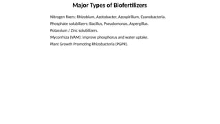 Comprehensive Guide to Biofertilizers: Types, Benefits, and Sustainable ...