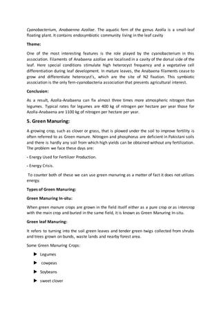 Cyanobacterium, Anabaenna Azollae. The aquatic fern of the genus Azolla is a small-leaf
floating plant. It contains endosymbiotic community living in the leaf cavity
Theme:
One of the most interesting features is the role played by the cyanobacterium in this
association. Filaments of Anabaena azollae are localised in a cavity of the dorsal side of the
leaf. Here special conditions stimulate high heterocyst frequency and a vegetative cell
differentiation during leaf development. In mature leaves, the Anabaena filaments cease to
grow and differentiate heterocyst’s, which are the site of N2 fixation. This symbiotic
association is the only fern-cyanobacteria association that presents agricultural interest.
Conclusion:
As a result, Azolla-Anabaena can fix almost three times more atmospheric nitrogen than
legumes. Typical rates for legumes are 400 kg of nitrogen per hectare per year those for
Azolla-Anabaena are 1100 kg of nitrogen per hectare per year.
5. Green Manuring:
A growing crop, such as clover or grass, that is plowed under the soil to improve fertility is
often referred to as Green manure. Nitrogen and phosphorus are deficient in Pakistani soils
and there is hardly any soil from which high yields can be obtained without any fertilization.
The problem we face these days are:
- Energy Used for Fertilizer Production.
- Energy Crisis.
To counter both of these we can use green manuring as a matter of fact it does not utilizes
energy.
Types of Green Manuring:
Green Manuring In-situ:
When green manure crops are grown in the field itself either as a pure crop or as intercrop
with the main crop and buried in the same field, it is known as Green Manuring In-situ.
Green leaf Manuring:
It refers to turning into the soil green leaves and tender green twigs collected from shrubs
and trees grown on bunds, waste lands and nearby forest area.
Some Green Manuring Crops:
 Legumes
 cowpeas
 Soybeans
 sweet clover
 