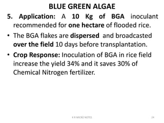 BIofertilizers K R.pptx