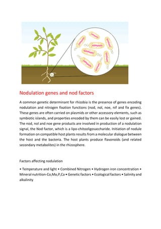 Nodulation Factor Biofertilizers | PDF