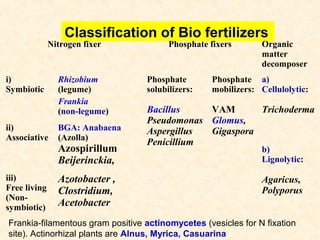 Classification of Bio fertilizers

Nitrogen fixer

i)
Symbiotic

ii)
Associative

iii)
Free living
(Nonsymbiotic)

Rhizobium
(legume)
Frankia
(non-legume)
BGA: Anabaena
(Azolla)

Azospirillum
Beijerinckia,
Azotobacter ,
Clostridium,
Acetobacter

Phosphate fixers

Phosphate
solubilizers:

Organic
matter
decomposer

Phosphate a)
mobilizers: Cellulolytic:

Bacillus
VAM
Trichoderma
Pseudomonas Glomus,
Aspergillus
Gigaspora
Penicillium
b)
Lignolytic:

Agaricus,
Polyporus

Frankia-filamentous gram positive actinomycetes (vesicles for N fixation
site). Actinorhizal plants are Alnus, Myrica, Casuarina

 