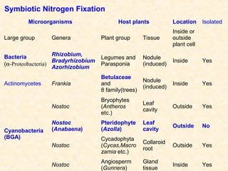 Symbiotic Nitrogen Fixation
Microorganisms

Host plants

Location

Isolated

Plant group

Tissue

Inside or
outside
plant cell

Rhizobium,
Bacteria
Bradyrhizobium
(α-Proteobacteria)
Azorhizobium

Legumes and
Parasponia

Nodule
(induced)

Inside

Yes

Actinomycetes

Frankia

Betulaceae
and
8 family(trees)

Nodule
(induced)

Inside

Yes

Nostoc

Bryophytes
(Antheros
etc.)

Leaf
cavity

Outside

Yes

Nostoc
(Anabaena)

Pteridophyte
(Azolla)

Leaf
cavity

Outside

No

Nostoc

Cycadophyta
(Cycas,Macro
zamia etc.)

Collaroid
root

Outside

Yes

Nostoc

Angiosperm
(Gunnera)

Gland
tissue

Inside

Yes

Large group

Cyanobacteria
(BGA)

Genera

 