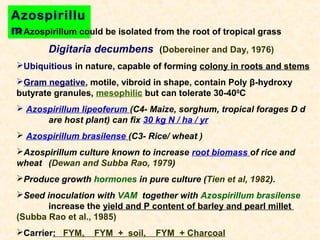 Azospirillu

m Azospirillum could be isolated from the root of tropical grass
Digitaria decumbens (Dobereiner and Day, 1976)
Ubiquitious in nature, capable of forming colony in roots and stems
Gram negative, motile, vibroid in shape, contain Poly β-hydroxy
butyrate granules, mesophilic but can tolerate 30-400C
 Azospirillum lipeoferum (C4- Maize, sorghum, tropical forages D d
are host plant) can fix 30 kg N / ha / yr
 Azospirillum brasilense (C3- Rice/ wheat )
Azospirillum culture known to increase root biomass of rice and
wheat (Dewan and Subba Rao, 1979)
Produce growth hormones in pure culture (Tien et al, 1982).
Seed inoculation with VAM together with Azospirillum brasilense
increase the yield and P content of barley and pearl millet
(Subba Rao et al., 1985)
Carrier: FYM,

FYM + soil,

FYM + Charcoal

 