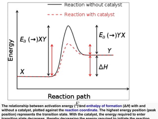The relationship between activation energy ( ) and enthalpy of formation (ΔH) with and
without a catalyst, plotted against the reaction coordinate. The highest energy position (peak
position) represents the transition state. With the catalyst, the energy required to enter

 