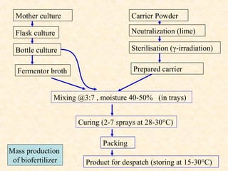 Mother culture

Carrier Powder

Flask culture

Neutralization (lime)

Bottle culture

Sterilisation (γ-irradiation)

Fermentor broth

Prepared carrier

Mixing @3:7 , moisture 40-50% (in trays)
Curing (2-7 sprays at 28-30°C)

Mass production
of biofertilizer

Packing
Product for despatch (storing at 15-30°C)

 