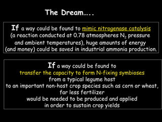 The Dream…..
If

a way could be found to mimic nitrogenase catalysis
(a reaction conducted at 0.78 atmospheres N2 pressure
and ambient temperatures), huge amounts of energy
(and money) could be saved in industrial ammonia production.

If a way could be found to

transfer the capacity to form N-fixing symbioses
from a typical legume host
to an important non-host crop species such as corn or wheat,
far less fertilizer
would be needed to be produced and applied
in order to sustain crop yields

 