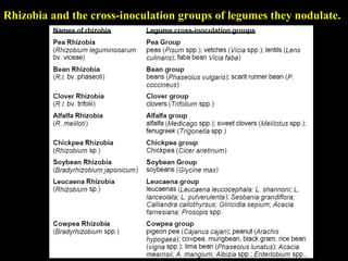 Rhizobia and the cross-inoculation groups of legumes they nodulate.

 