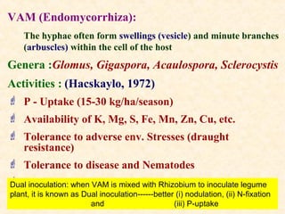 VAM (Endomycorrhiza):
The hyphae often form swellings (vesicle) and minute branches
(arbuscles) within the cell of the host

Genera :Glomus, Gigaspora, Acaulospora, Sclerocystis
Activities : (Hacskaylo, 1972)
 P - Uptake (15-30 kg/ha/season)
 Availability of K, Mg, S, Fe, Mn, Zn, Cu, etc.
 Tolerance to adverse env. Stresses (draught
resistance)
 Tolerance to disease and Nematodes
 Produce plantVAM is mixed with Rhizobium to inoculate legume
Dual inoculation: when growth hormones
plant, it is known as Dual inoculation------better (i) nodulation, (ii) N-fixation
and
(iii) P-uptake

 