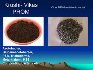 Krushi- Vikas
PROM
Other PROM available in market
Azotobacter,
Glucanoacetobacter,
PSB, Trichoderma,
Metarhizium , KSB
Composting bacteria etc.
 
