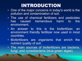 INTRODUCTION
• One of the major concerns in today's world is the
pollution and contamination of soil.
• The use of chemical fertilizers and pesticides
has caused tremendous harm to the
environment.
• An answer to this is the biofertilizer, an
environment friendly fertilizer now used in most
countries.
• Biofertilizers are organisms that enrich the
nutrient quality of soil.
• The main sources of biofertilizers are bacteria,
fungi, and cynaobacteria (blue-green algae).
 