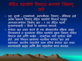 सेंद्रद्रय िदािाांचे पवघटन करणारे ल्जवाणू
खते
• उदा. िुरिी – िायकोडमाव, अस्िजीलस, ल्जवाणू – िॅमसलस असे
अनेक प्रकारचे ल्जवाणू सेंद्रद्रय िदािावचे पवघटन घडवून
आणतात.क
ं िोस्ट ल्जवाणू खत – १ टन सेंद्रद्रय िदािव
क
ु जवण्यासाठी १ ककलो या प्रमाणात वािरावे.
• क
ं िोस्ट खत तयार करणे ही एक जीविास्त्रीय प्रकिया असून
नतच्यामध्ये न क
ु जलेल्या सेंद्रद्रय िदािावचे सूक्ष्म ल्जवाणू माफ
व त
पवघटन होते आणण कािवन : नायिोजन यांचे गुणोत्तर कमी
होते. अिा पवघटन झालेल्या िदािाांना क
ं िोस्ट खत असे
म्हणतात. िास्त्रीय िद्धतीने उत्तम प्रनतचे क
ं िोस्ट खत तयार
करण्यासाठी खड्डा आणण ढीग िद्धतीचा वािर करतात.
 